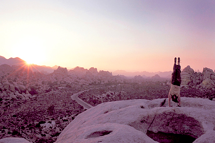 Jodi Levine, Joshua Tree National Park